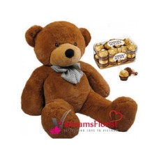 Cute Teddy (80cm) And Chocolate